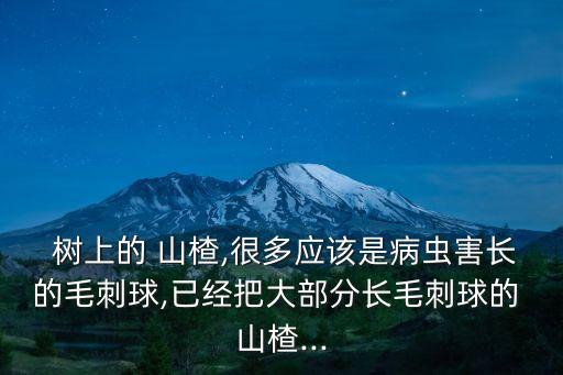 山楂樹上噴什么農藥好呢,春季山楂樹打什么農藥