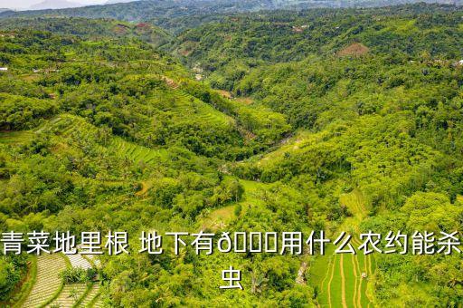地下用什么農藥最好,除地下害蟲哪種農藥最好