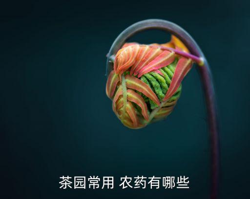 什么農藥能防治茶葉蟬,什么茶葉沒有農藥