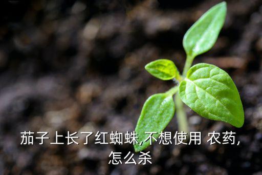 茄子上長了紅蜘蛛,不想使用 農(nóng)藥,怎么殺