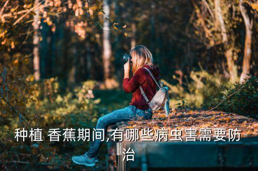 目前香蕉用什么農(nóng)藥最多,種植香蕉需要什么農(nóng)藥