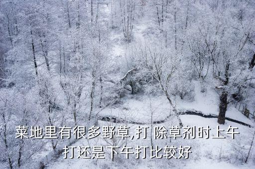 菜地里有很多野草,打 除草劑時上午打還是下午打比較好