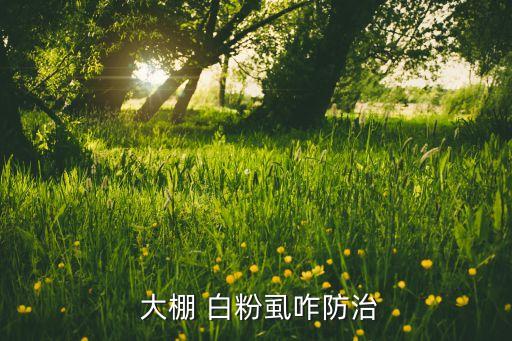 白粉虱打什么農藥,大棚白粉虱用什么農藥好