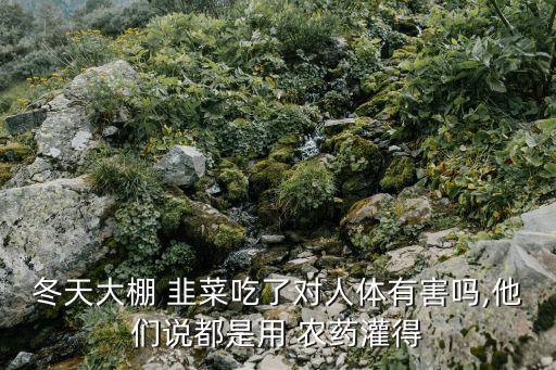 什么農(nóng)藥殺死韭菜根莖,韭菜用什么洗去農(nóng)藥