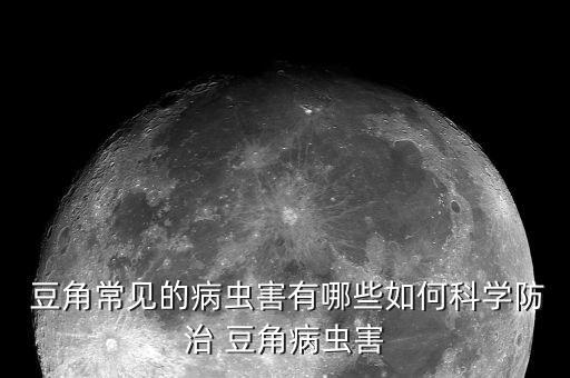  豆角常見的病蟲害有哪些如何科學防治 豆角病蟲害