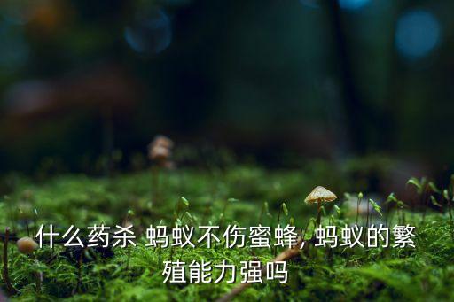 什么農藥可以殺死螞蟻,敵敵畏農藥可以殺死螞蟻嗎