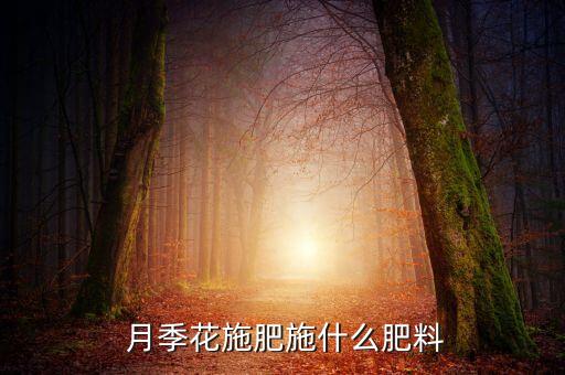  月季花施肥施什么肥料