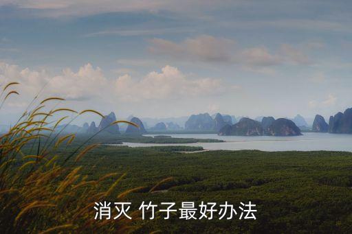 什么農藥可以滅竹子,殺除竹子用什么農藥