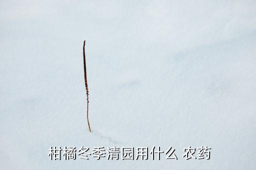  柑橘冬季清園用什么 農藥