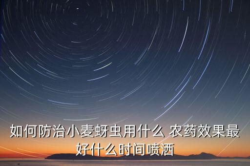 如何防治小麥蚜蟲用什么 農(nóng)藥效果最好什么時(shí)間噴灑