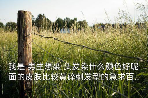 我是 男生想染 頭發(fā)染什么顏色好呢面的皮膚比較黃碎刺發(fā)型的急求百...