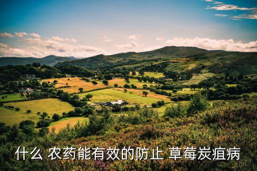草莓怕什么農藥,草莓紅蜘蛛最怕什么