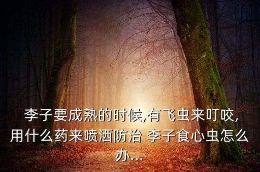  李子要成熟的時候,有飛蟲來叮咬,用什么藥來噴灑防治 李子食心蟲怎么辦...