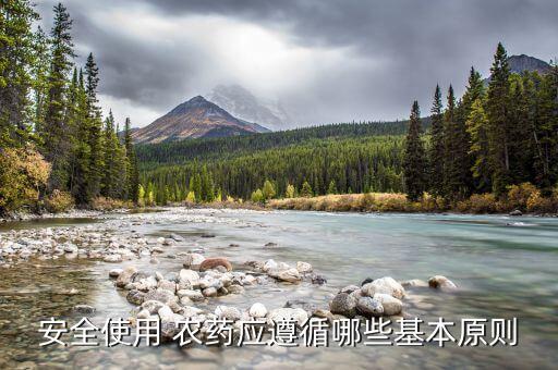 什么人不能種農藥,種土豆用什么農藥最好