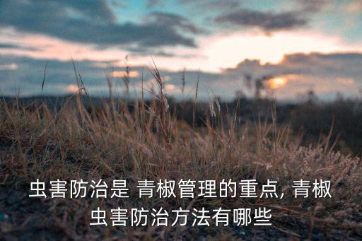 蟲害防治是 青椒管理的重點, 青椒蟲害防治方法有哪些