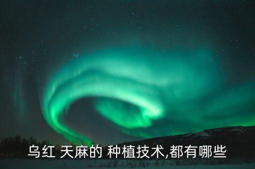 烏紅 天麻的 種植技術,都有哪些