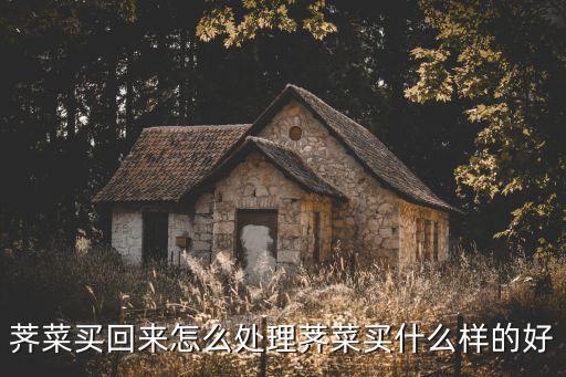 薺菜買回來(lái)怎么處理薺菜買什么樣的好