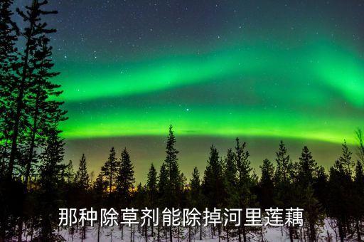 藕種用什么農藥打死它,有沒有什么農藥能把大樹打死