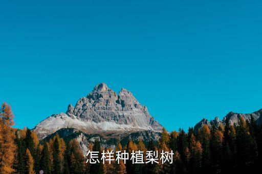 怎樣種植梨樹