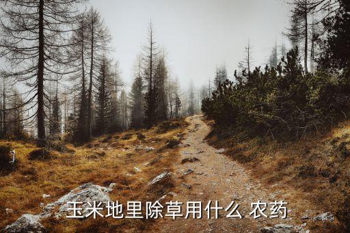  玉米地里除草用什么 農藥