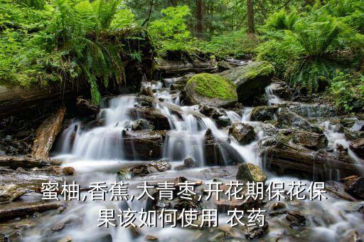  蜜柚,香蕉,大青棗,開花期保花保果該如何使用 農藥