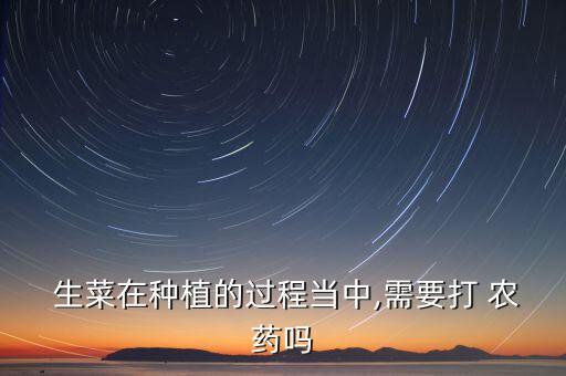  生菜在種植的過程當中,需要打 農藥嗎