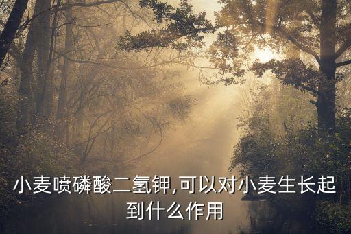 小麥噴磷酸二氫鉀,可以對小麥生長起到什么作用