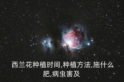 西蘭花生蟲子噴什么農藥