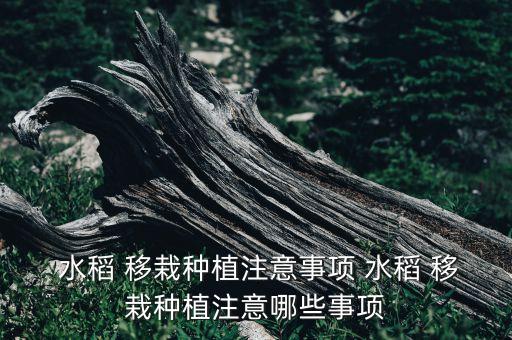 水稻移栽前打什么農藥好,什么是移栽水稻