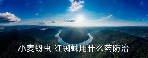 打什么農藥治紅蜘蛛好呢,什么農藥殺紅蜘蛛最有效