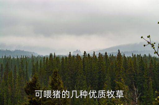 母豬草用什么農藥,什么農藥能把草徹底殺死