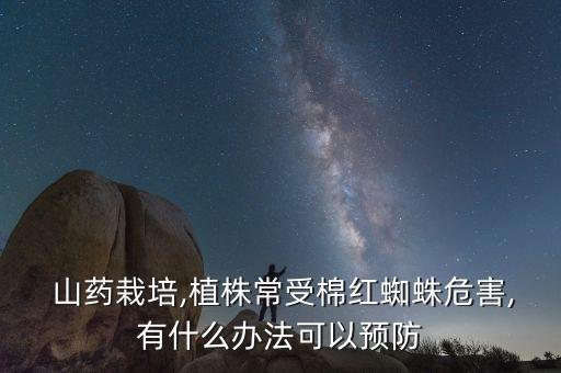  山藥栽培,植株常受棉紅蜘蛛危害,有什么辦法可以預防