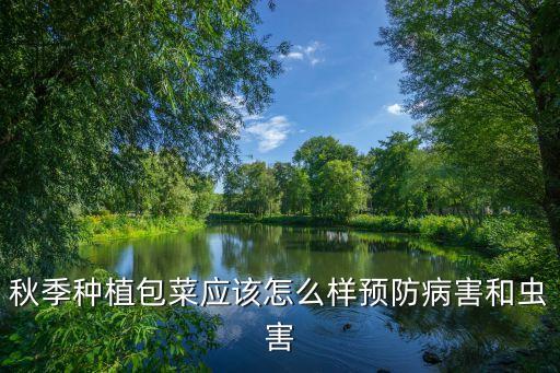 包心菜長蟲用什么農藥,土里長蟲用什么農藥