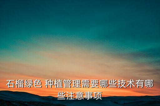 種植魔芋要用什么農藥好,魔芋打什么農藥