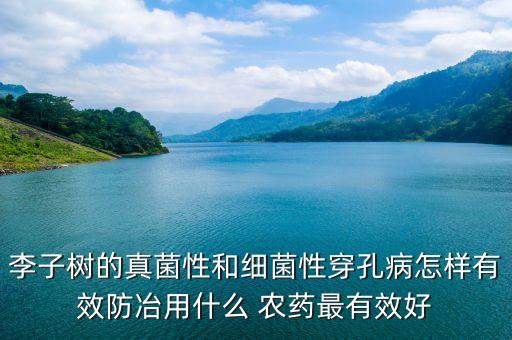什么農藥對李樹有過敏,農藥過敏什么癥狀怎么治療