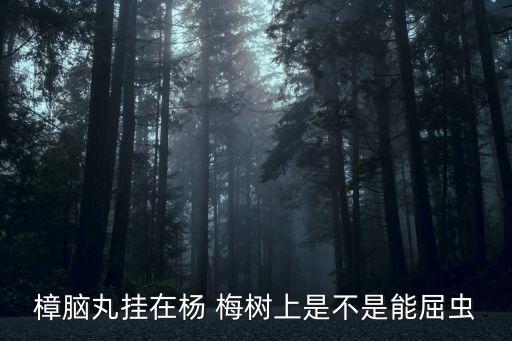 楊梅樹有蟲子用什么農(nóng)藥
