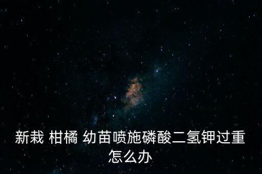 新栽 柑橘 幼苗噴施磷酸二氫鉀過重怎么辦