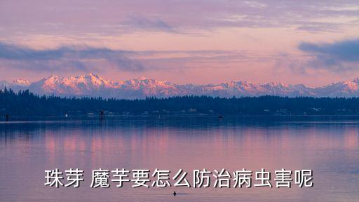 魔芋用什么農藥消毒,用什么農藥給土壤消毒