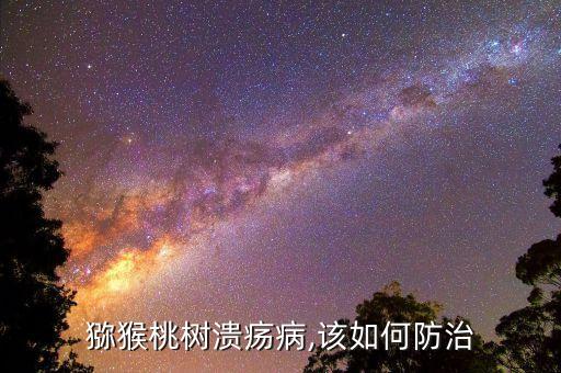 獼猴桃樹潰瘍病,該如何防治