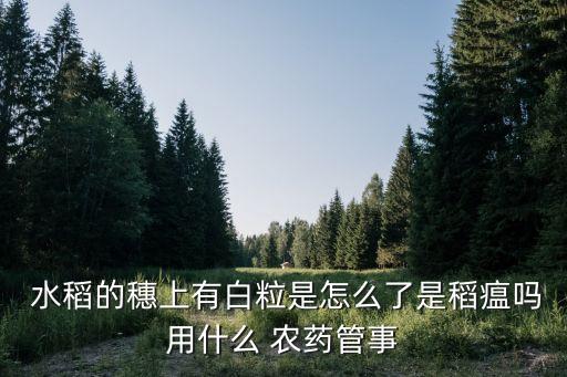 水稻螟蟲防治用什么農藥,防治螟蟲用什么農藥好