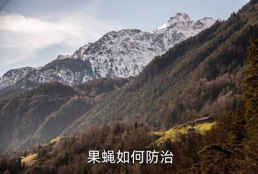  果蠅如何防治