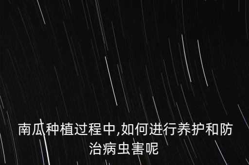 南瓜需要用什么農藥的,南瓜打什么農藥