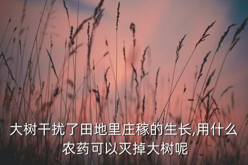 能將樹木殺死的農(nóng)藥是什么,敵殺死是什么類型的農(nóng)藥
