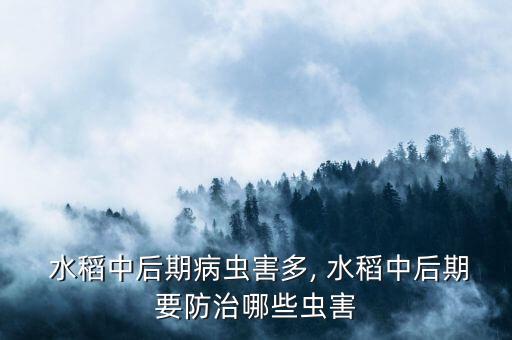 水稻破口打什么農藥較好,什么農藥對水稻傷害最大