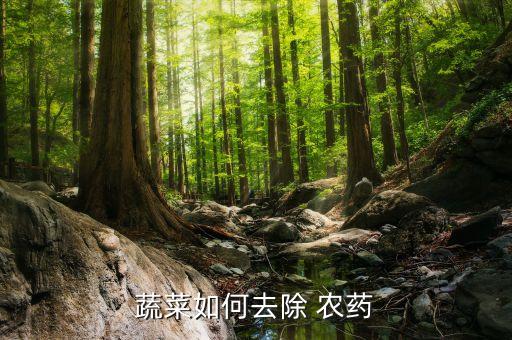 菜青農(nóng)藥用什么方法,去農(nóng)藥味用什么方法最快