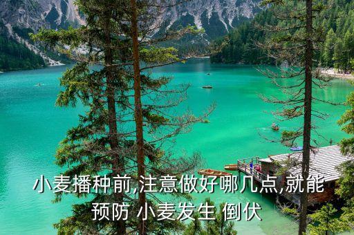小麥倒伏應加什么農藥,小麥抗倒伏用什么肥
