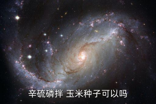 用什么農(nóng)藥拌玉米種,什么農(nóng)藥能殺死玉米苗