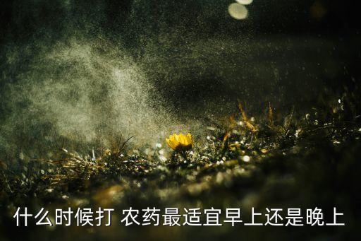 什么時(shí)候打 農(nóng)藥最適宜早上還是晚上