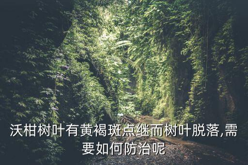 沃柑樹葉有黃褐斑點繼而樹葉脫落,需要如何防治呢