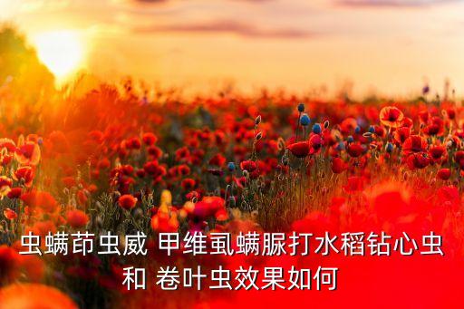蟲螨茚蟲威 甲維虱螨脲打水稻鉆心蟲和 卷葉蟲效果如何